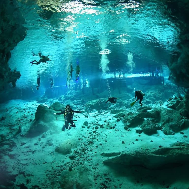 Mexidivers Tulum's team