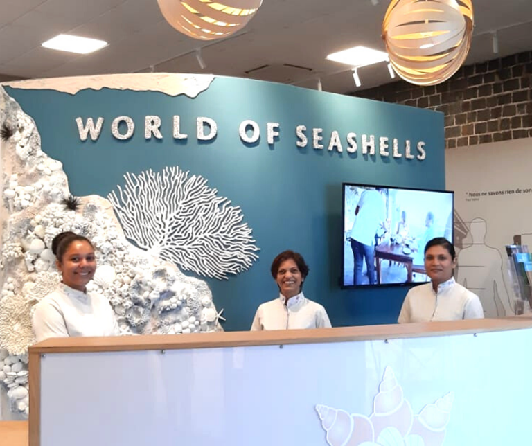 World of Seashells's team