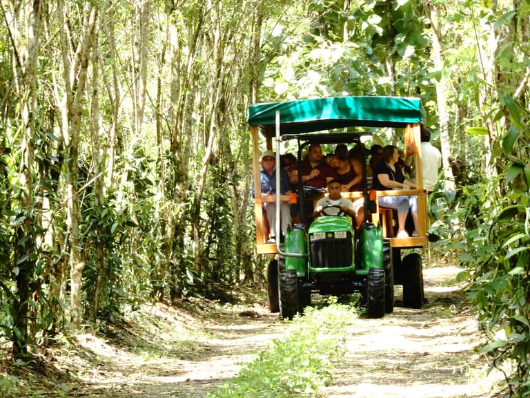 Belize Spice Farm & Botanical Garden's team