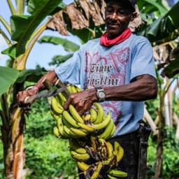 Benjamin Bryant from Samana Ecolodge